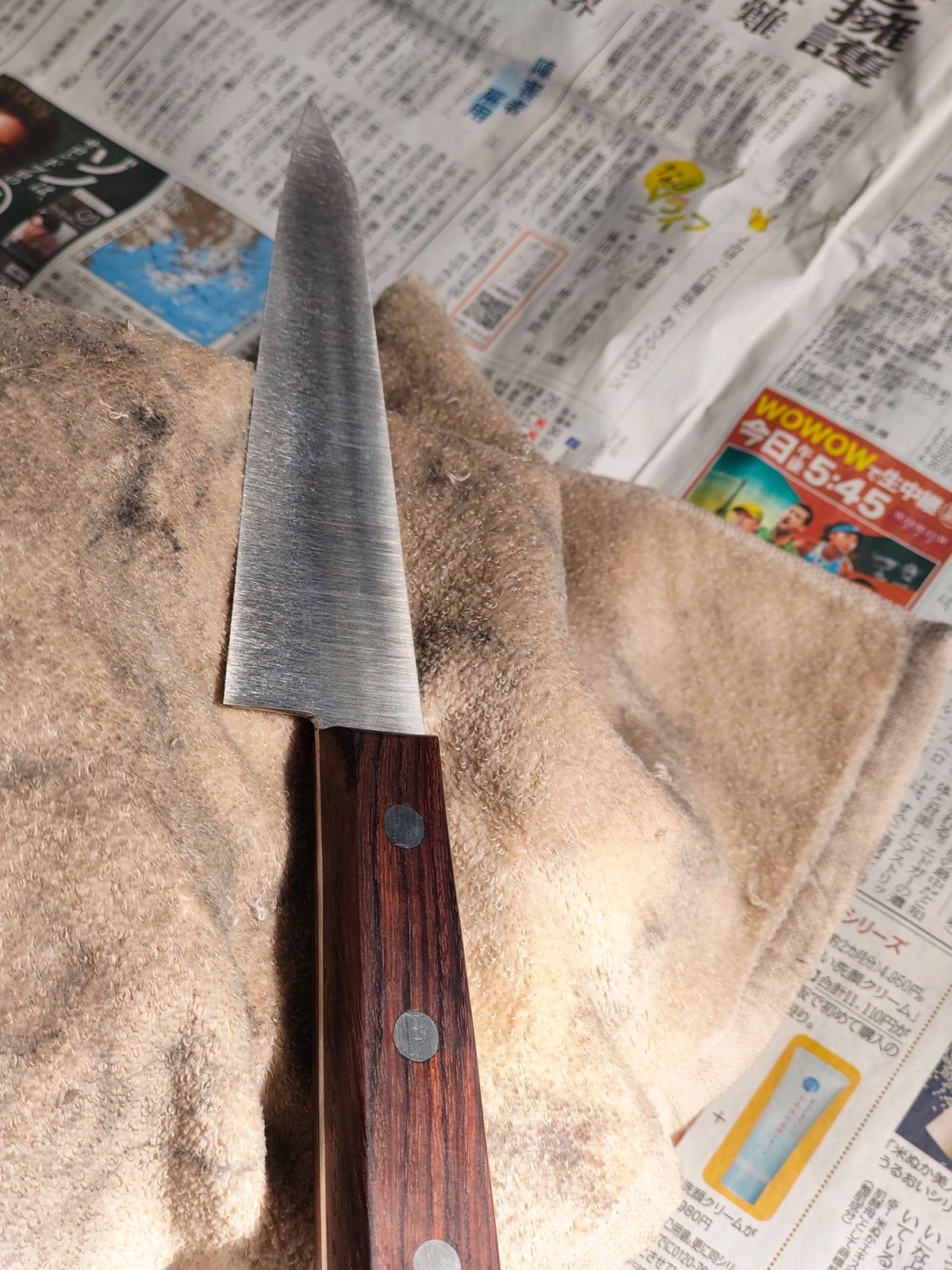 Honesuki - Custom Stainless - TAK.2026.003