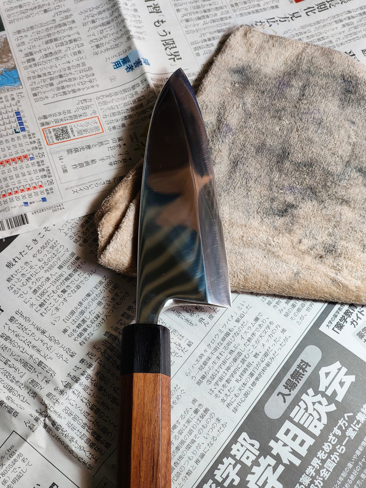 Deba - ZDP 189  Honyaki - KOK.2026.001