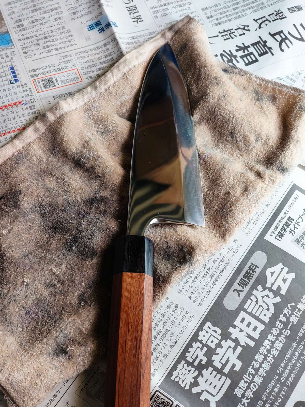 Deba - ZDP 189  Honyaki - KOK.2026.001